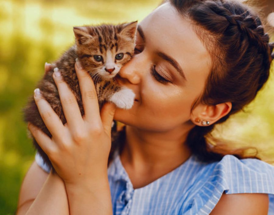 Essential Tips For the First-Time Dog Owners