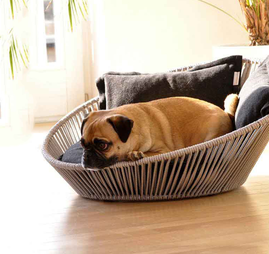 dog laying in dog bed