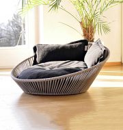 papasan dog bed