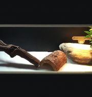 reptile aquarium